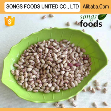 Wholesale Pinto Beans Light Speckled Kidney Beans